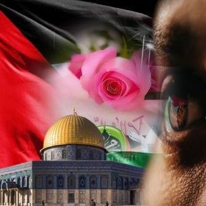 Meet your Posher, Layla